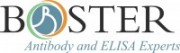 Boster Logo Vector